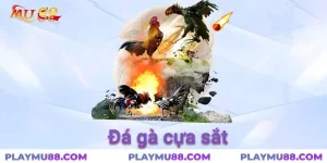 đá gà cựa sắt