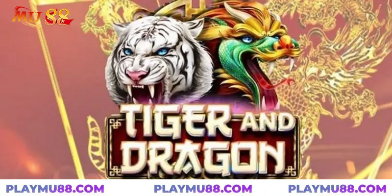 Sơ lược về Rồng Hổ mu88